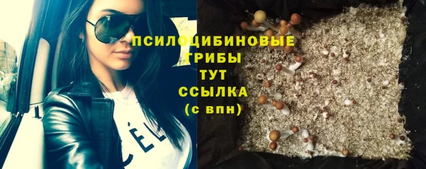 ПСИЛОЦИБИНОВЫЕ ГРИБЫ Бронницы