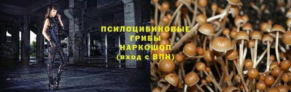ПСИЛОЦИБИНОВЫЕ ГРИБЫ Бронницы