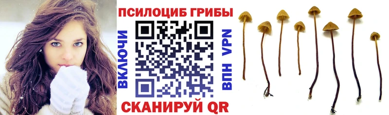 Галлюциногенные грибы прущие грибы Дзержинский